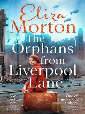 cover image of The Orphans from  Liverpool Lane